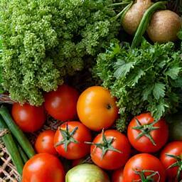 Close-up of fresh local British produce arranged for sourcing and consulting